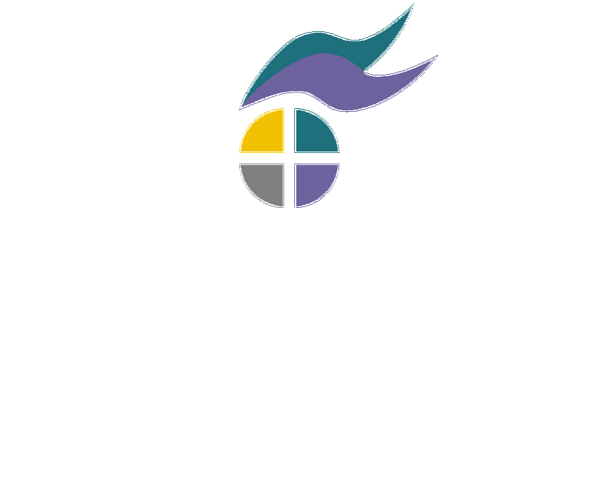 Chromovision